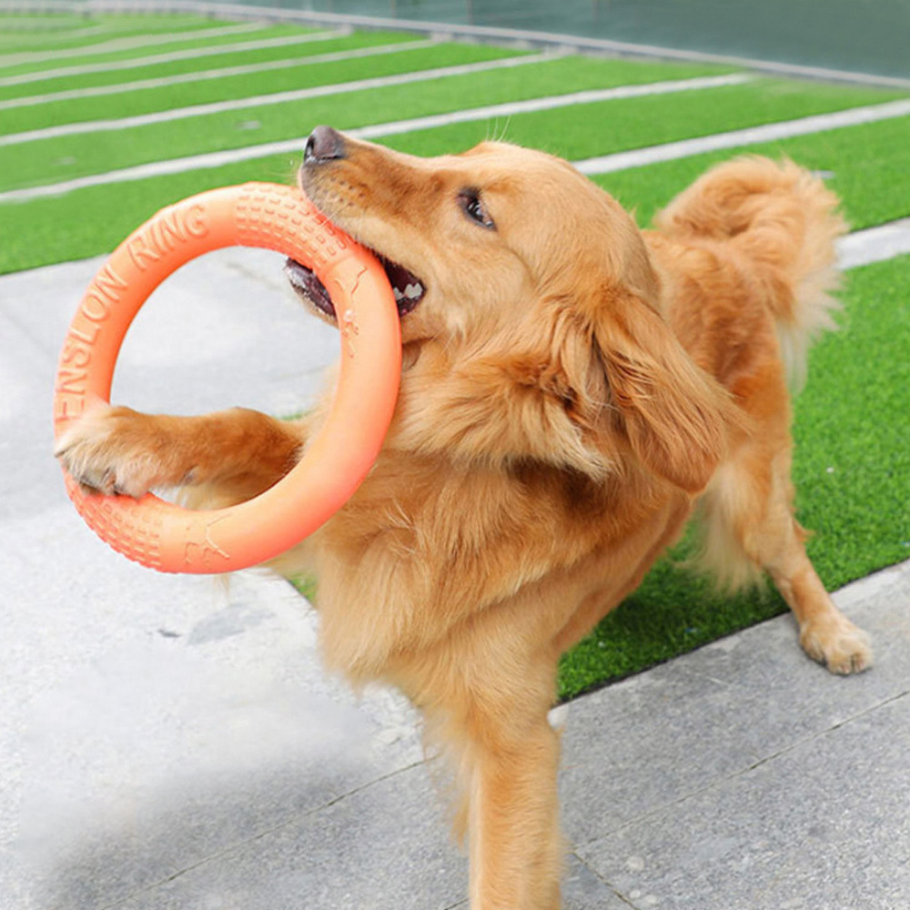 Interactive Squeaky Plush Dog Toy - Anneau d'entraînement pour chiens, disque volant