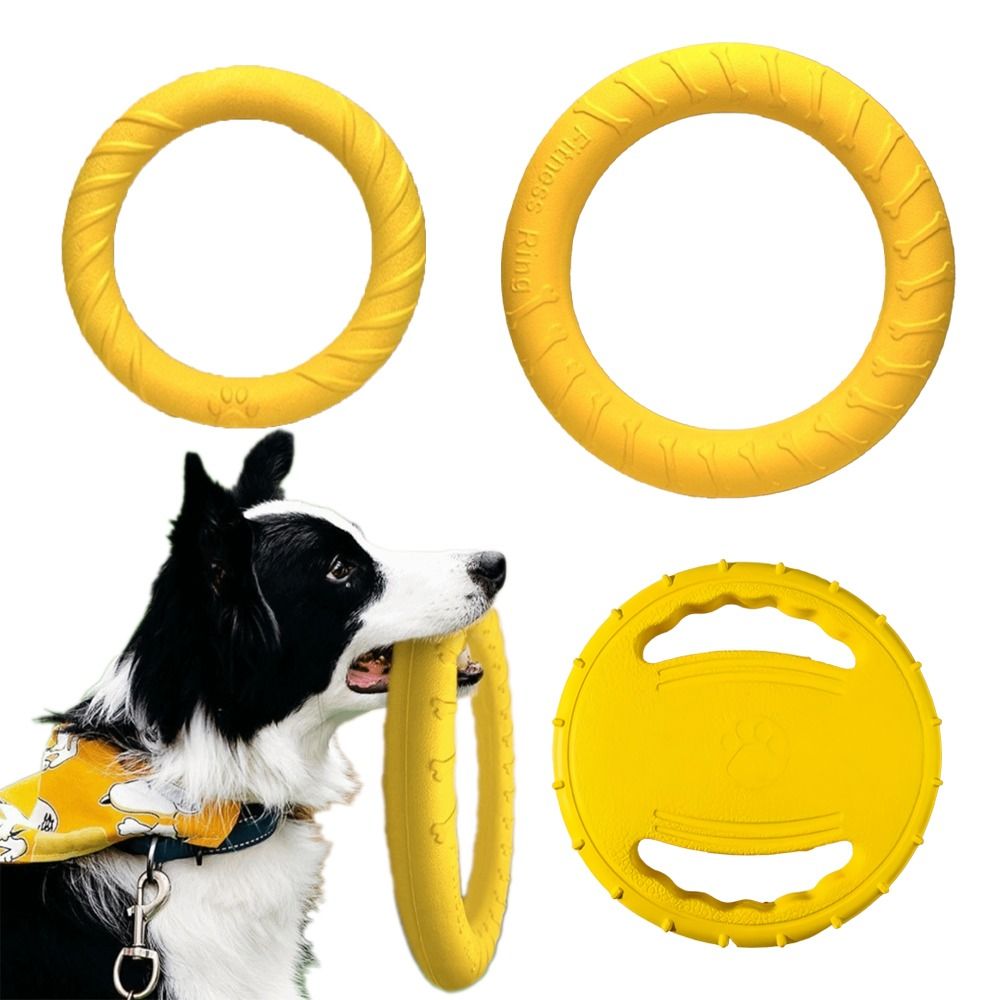 Flying Disc Dog Training Toy - Ensemble de jouets d'extérieur pour chiot,