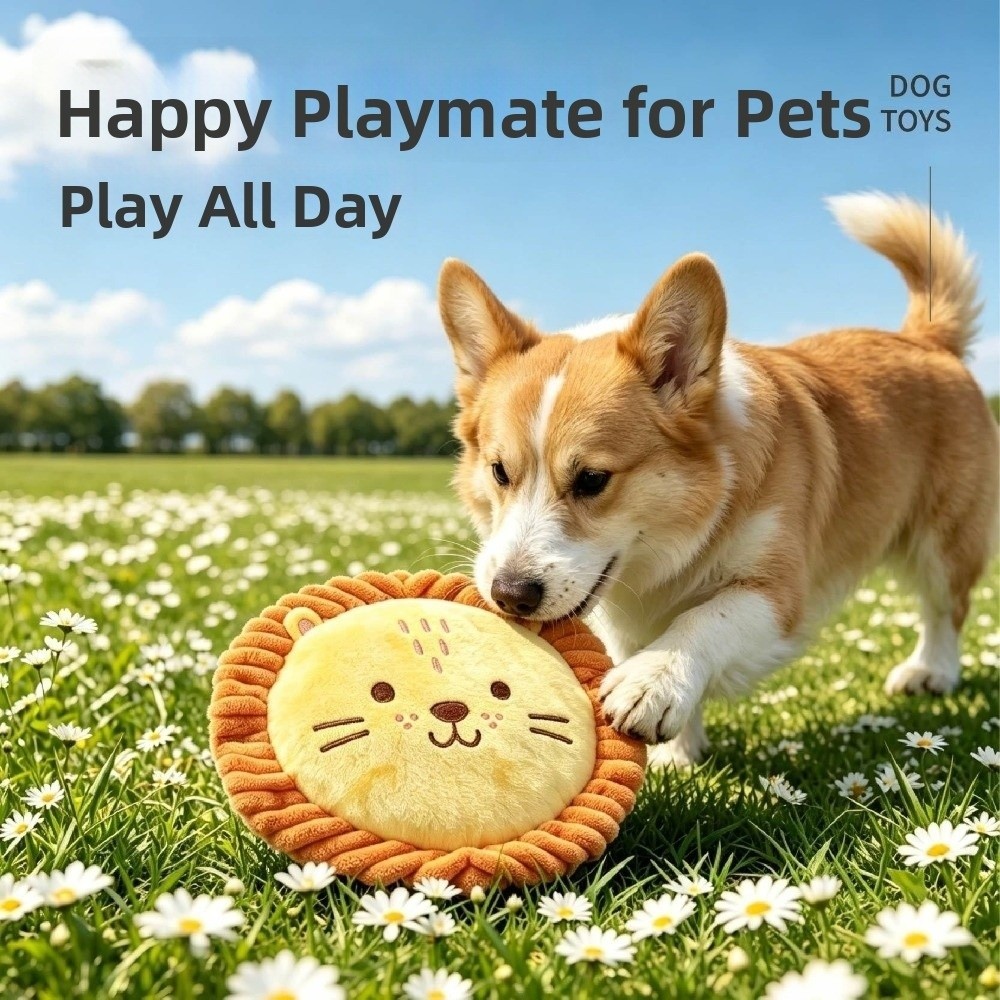 Disque volant pour chien, soup - Flying Disc Dog Training Toy avis et prix