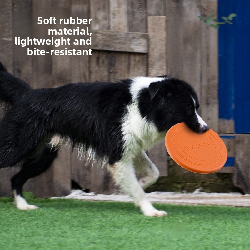 Disque volant souple pour chie - Flying Disc Dog Training Toy avis et prix
