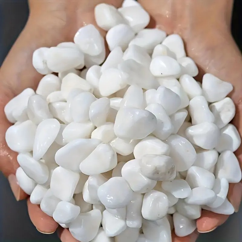1L Perlite de haute qualité po - Pet Beds avis et prix