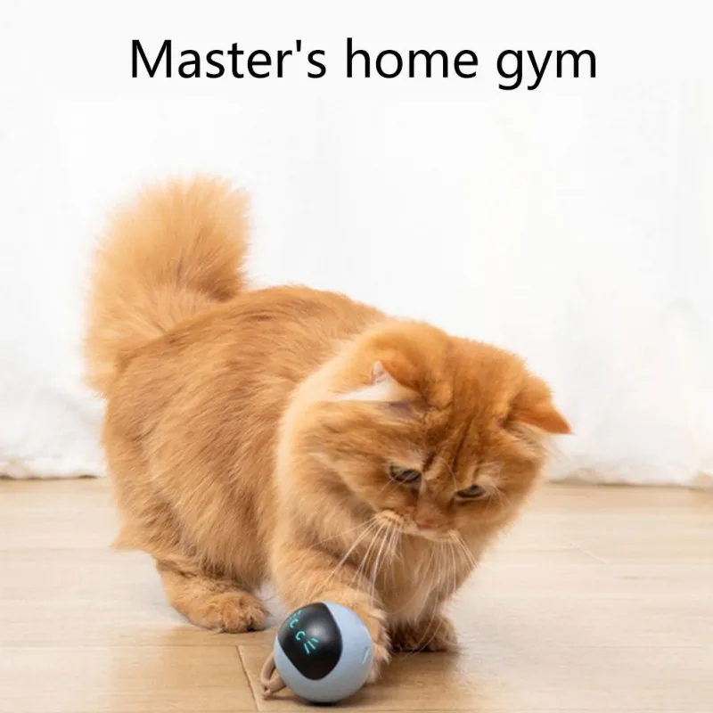Balle interactive pour chat, j - Automatic Moving Dog Ball avis et prix