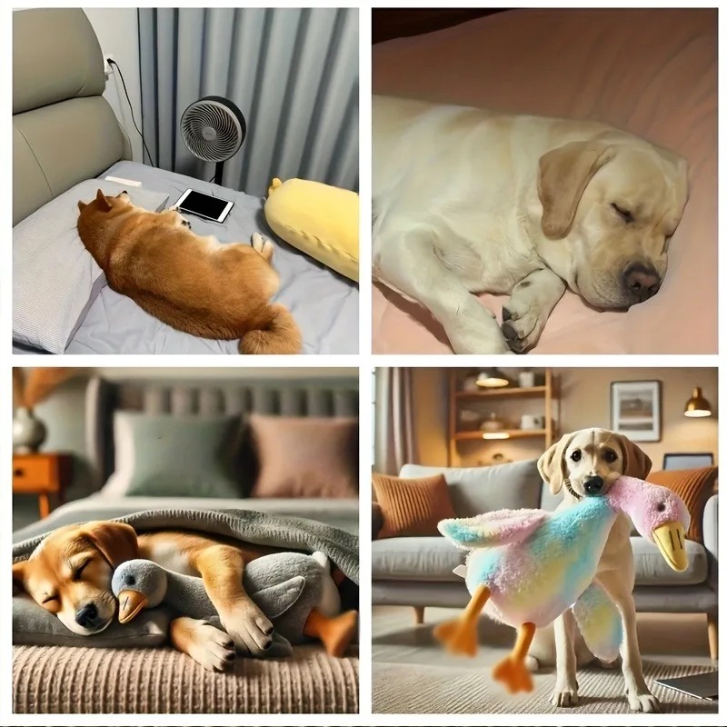 Jouet en peluche canard coloré - Interactive Squeaky Plush Dog Toy avis et prix