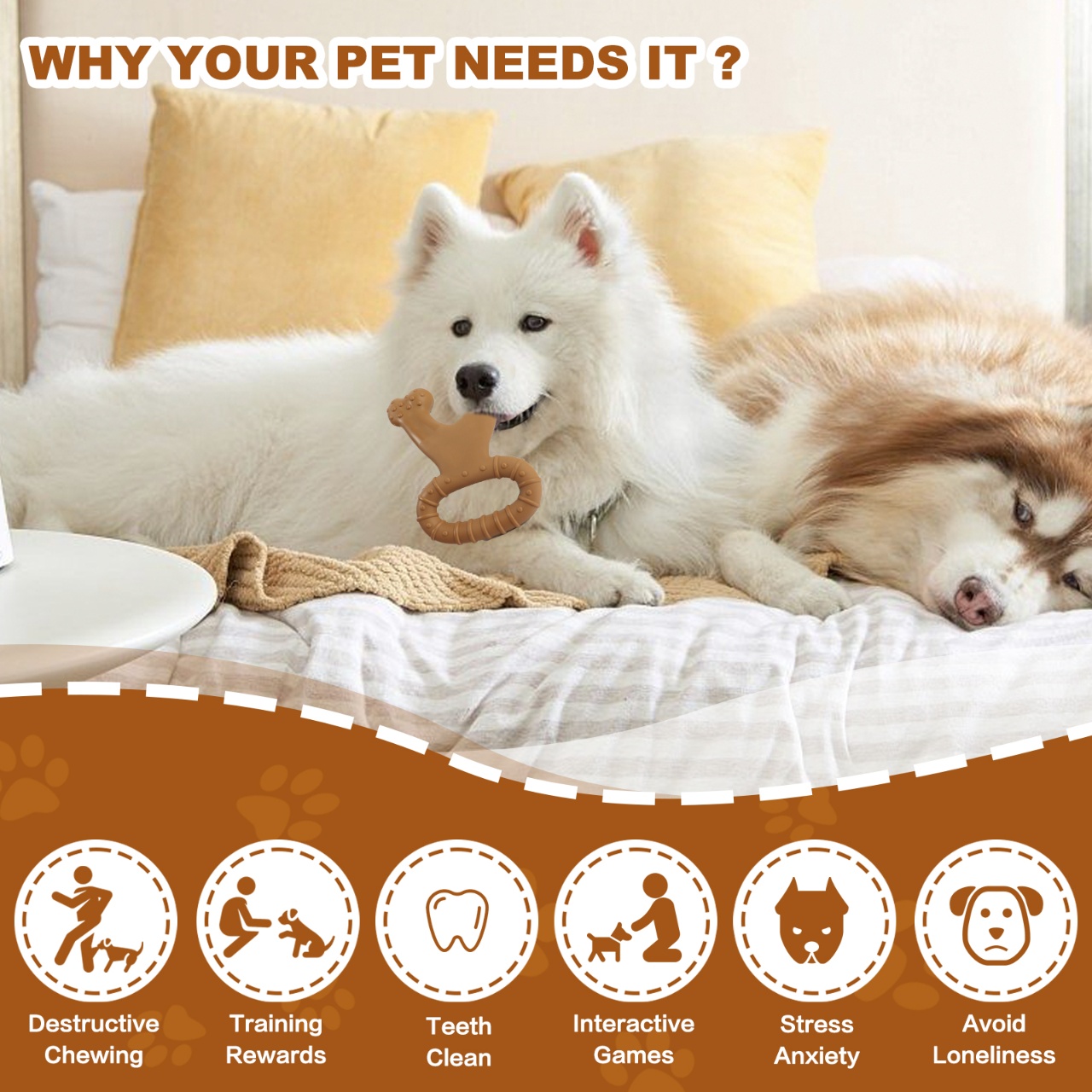 1 jouet à mâcher interactif po - Teeth Cleaning Dog Chew Bone avis et prix