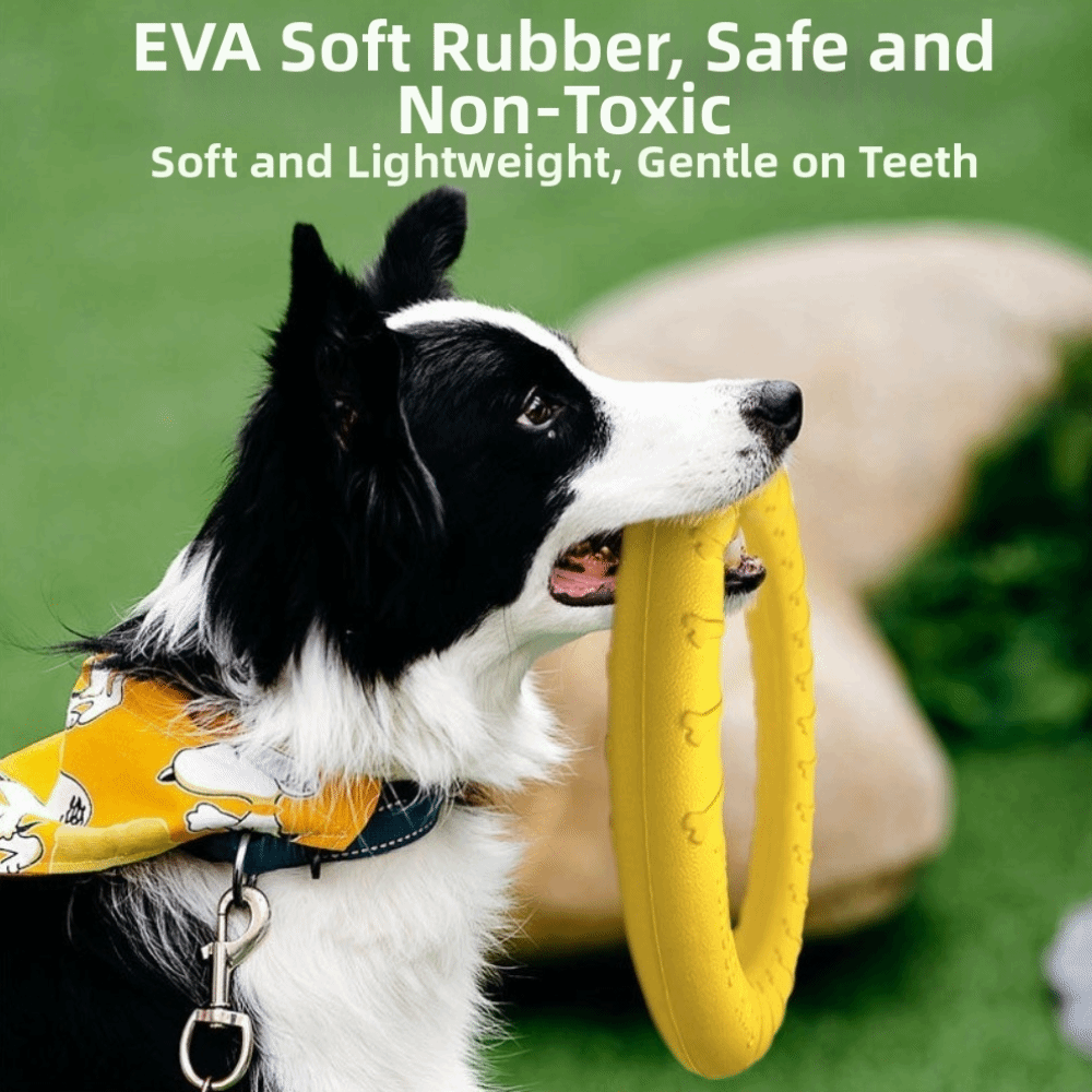 Ensemble de jouets d'extérieur - Flying Disc Dog Training Toy avis et prix
