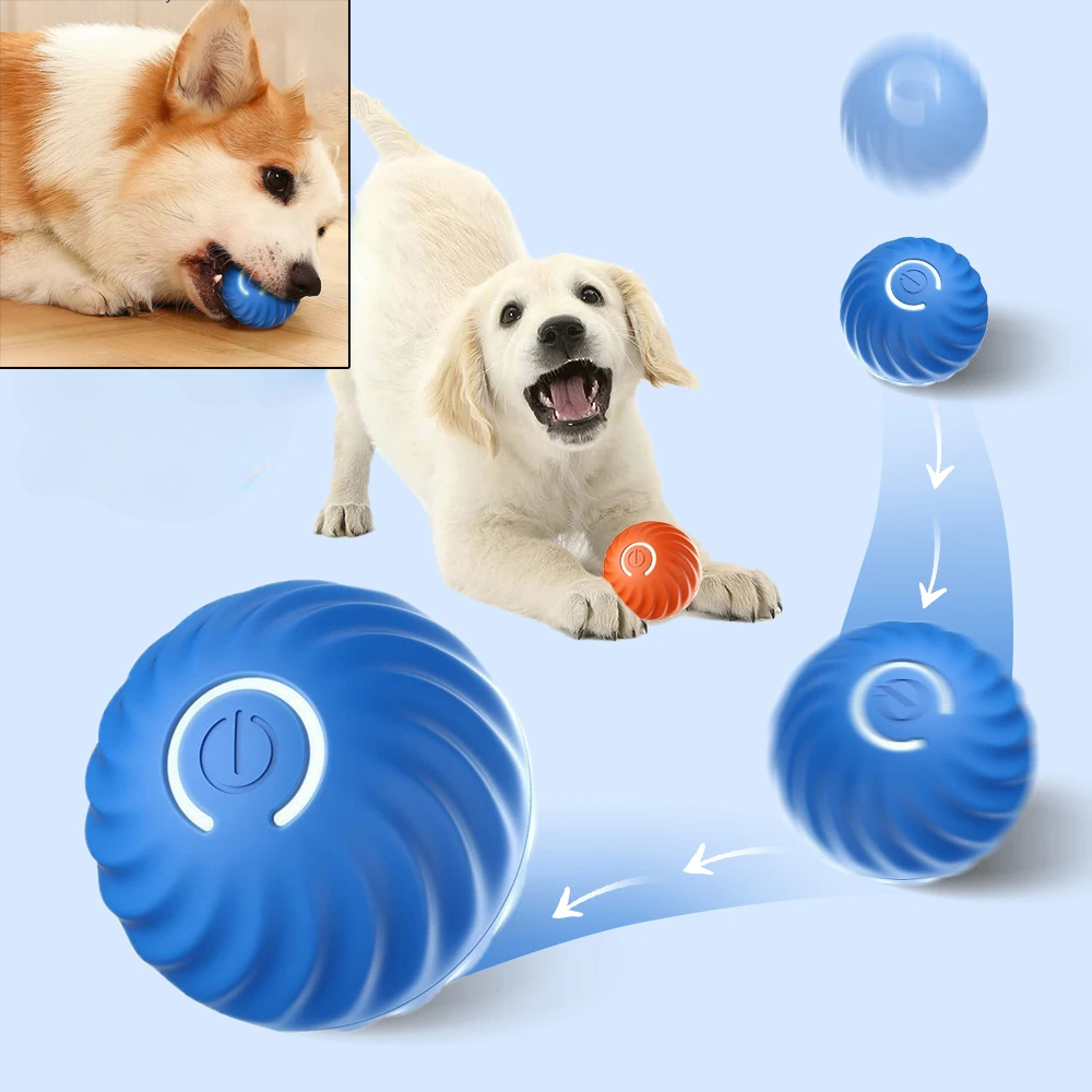 Balle de jeu pour chien, balle - Automatic Moving Dog Ball avis et prix