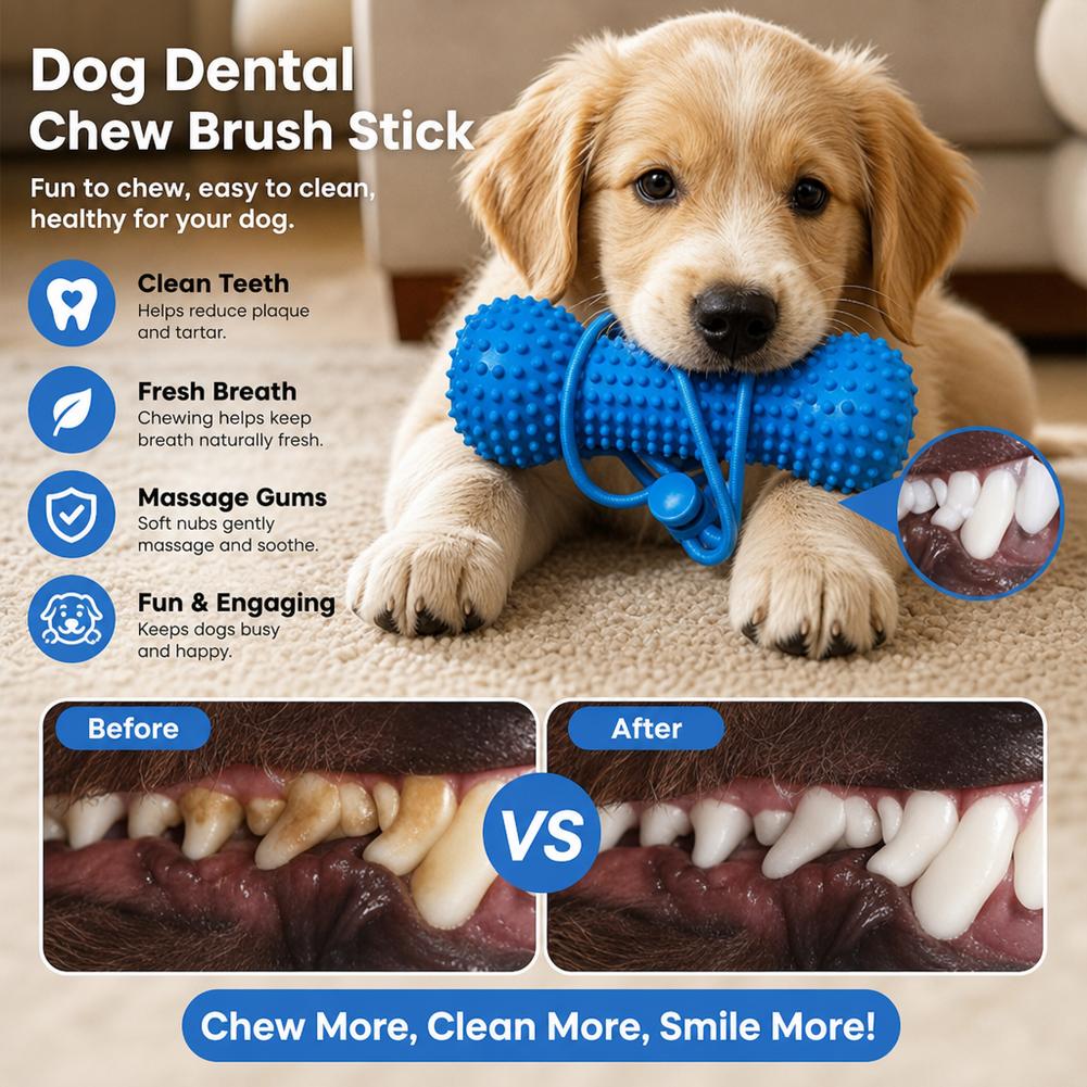 Bâtonnet à mâcher pour chiens  - Teeth Cleaning Dog Chew Bone avis et prix