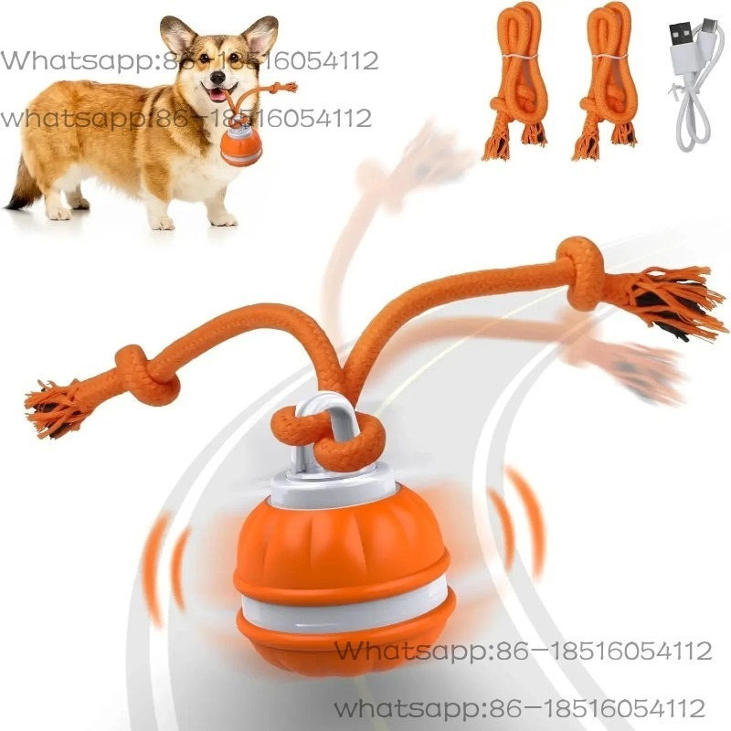 Jouets intelligents pour chien - Automatic Moving Dog Ball avis et prix