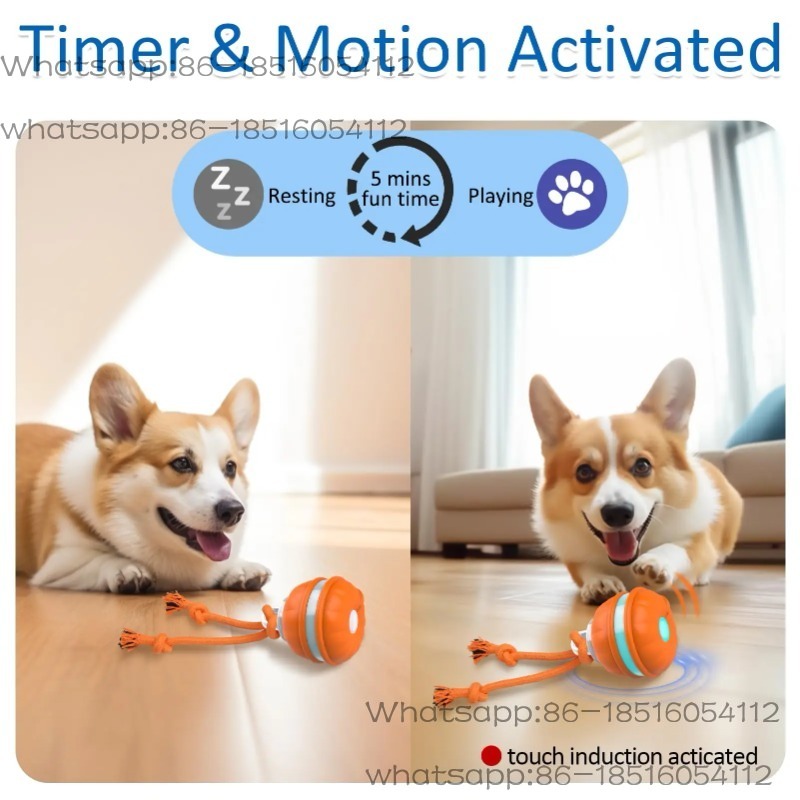 Jouets intelligents pour chien - Automatic Moving Dog Ball avis et prix