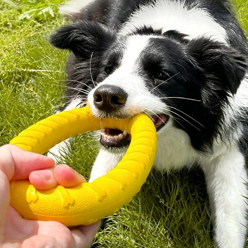 Jouets pour chiens en forme d' - Indestructible Dog Chew Toy avis et prix